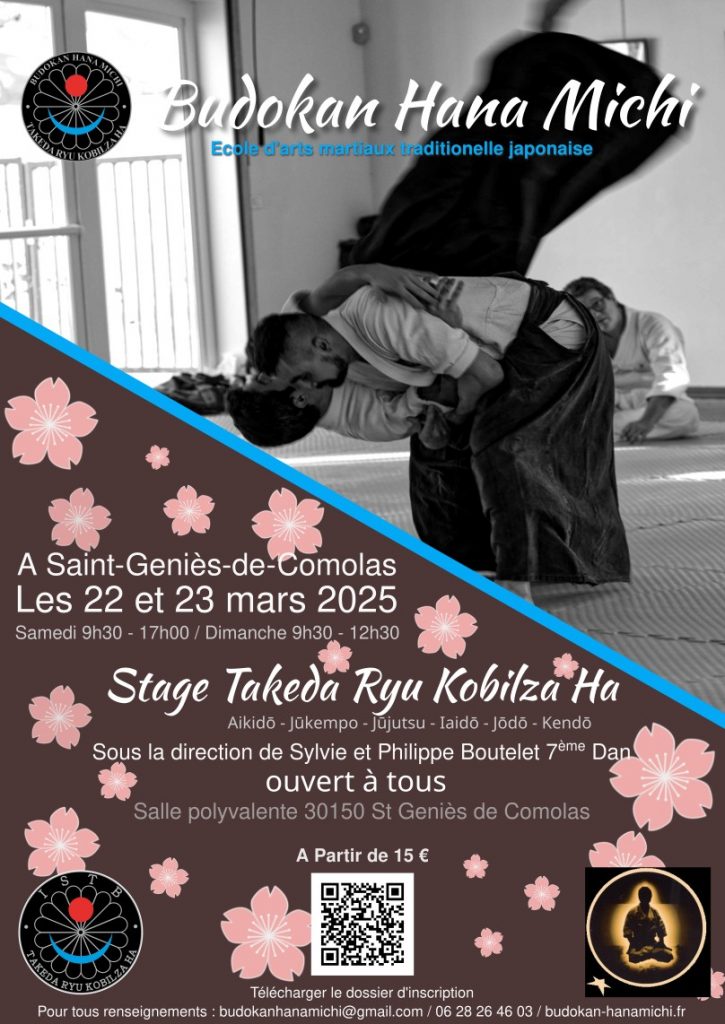 affiche stage Takeda ryu Kobilza Ha